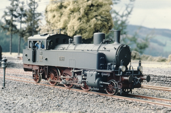 T5_M+F_r2_600